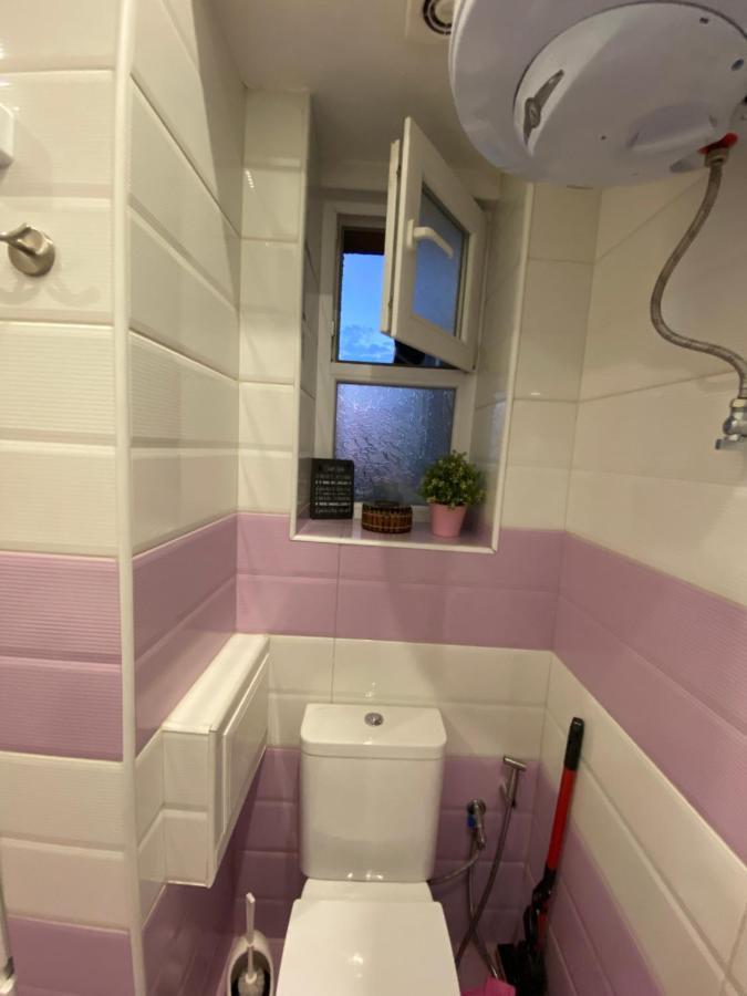 Cozy Apartment In Downtown Sofia - Tsar Samuil Street Dış mekan fotoğraf