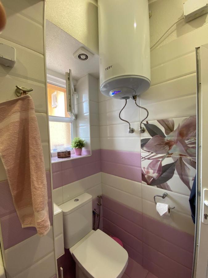 Cozy Apartment In Downtown Sofia - Tsar Samuil Street Dış mekan fotoğraf